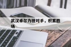 关于武汉卓尔力挫对手，积累胜场的信息